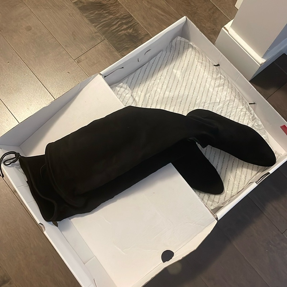 Aldo boots